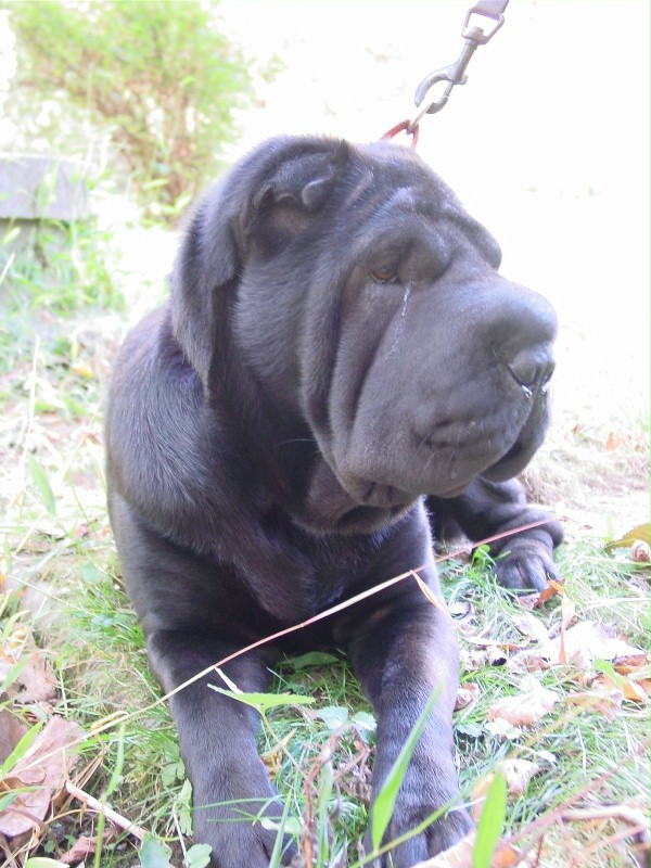 dsc03943.jpg